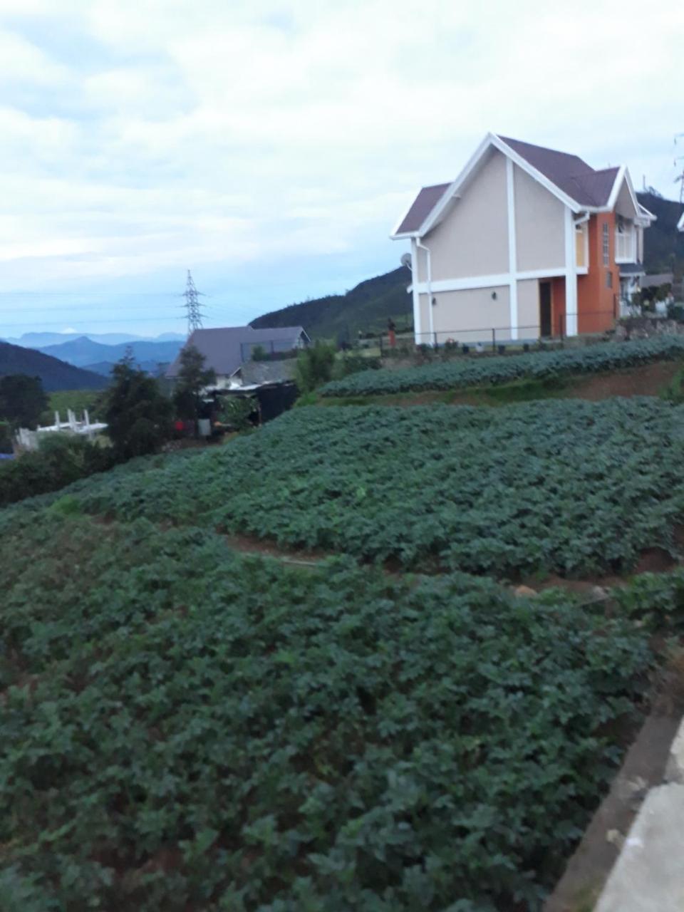 Rainyfreindz Hotel Nuwara Eliya Ngoại thất bức ảnh